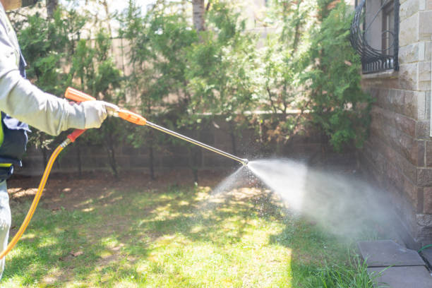 Indoor Pest Control in North Canton, OH